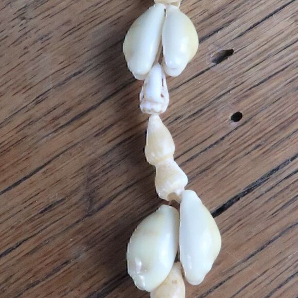 SEASHELL NECKLACE   - Picture 4 of 4